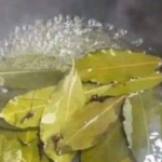 Ponga esto durante 1 hora en su casa y nunca más verá moscas, mosquitos o cucarachas.